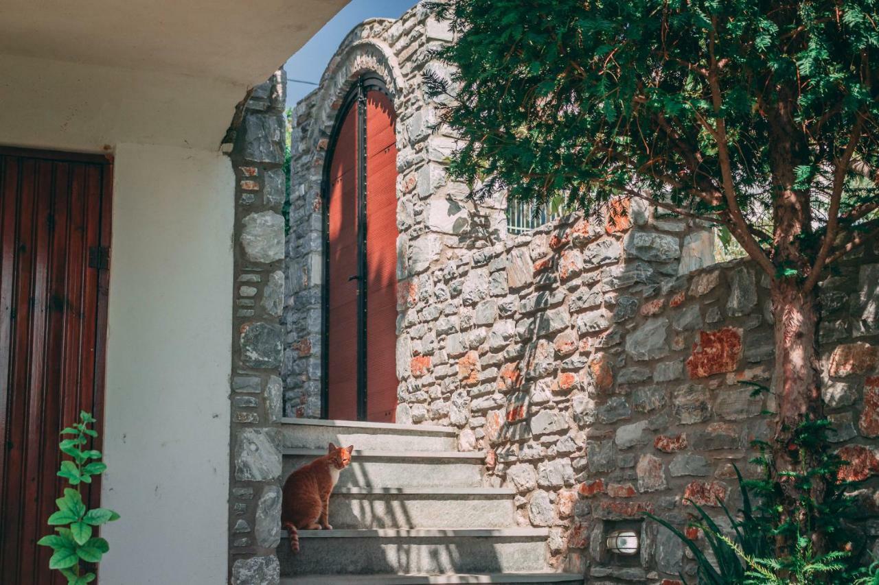 Casa Di Bella Marathos (Thessaly) Exterior foto